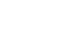 ionslot